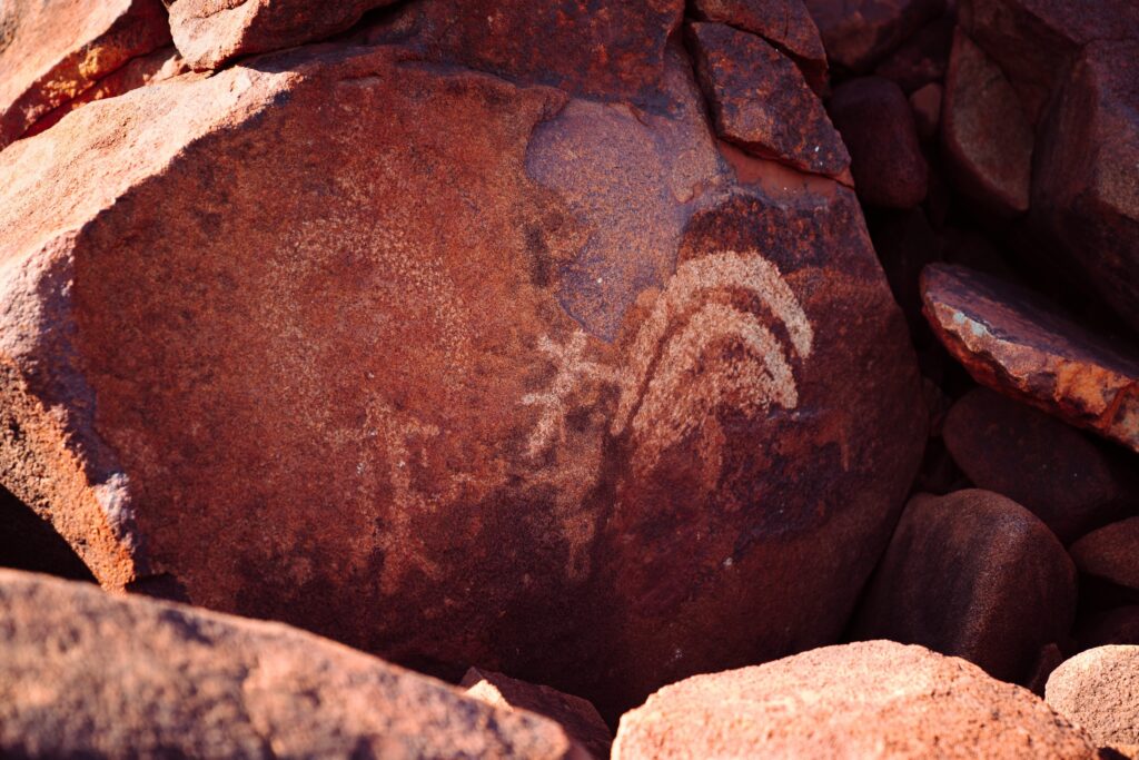 世界遺産 ムルジュガの文化的景観 - もっと知りたいオーストラリア