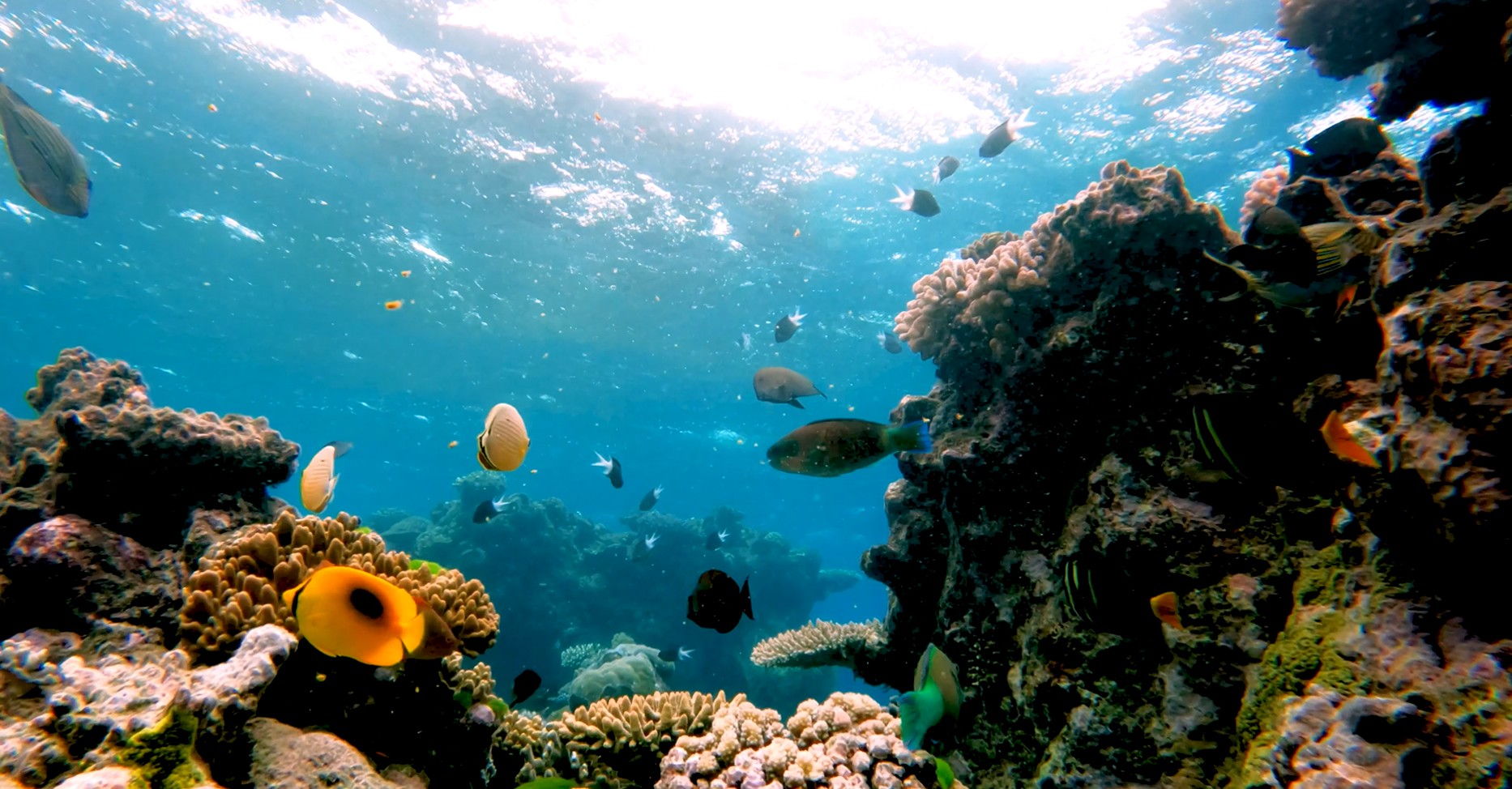 トップページ動画で紹介されている場所 - もっと知りたい